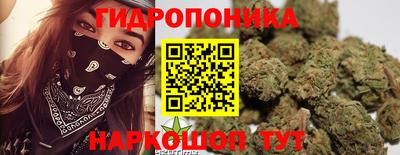 spice Коммунар