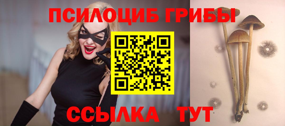 Псилоцибиновые грибы GOLDEN TEACHER Коряжма